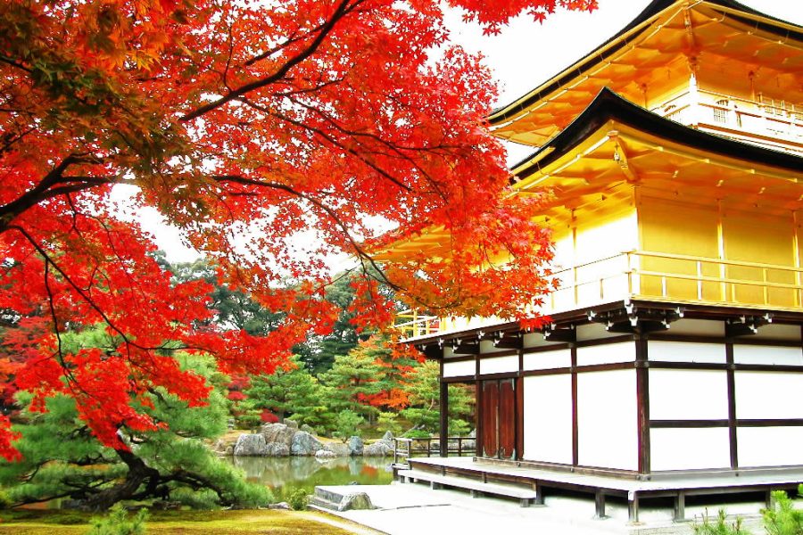 Cores destacam jardim oriental